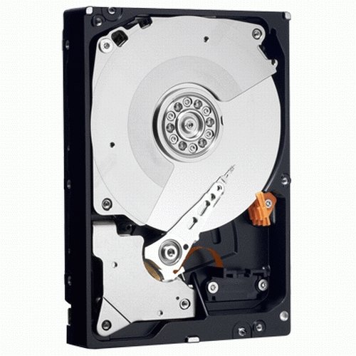 WD5001AALS 3.5インチHDD バルク品 WD Caviar Black 500GB WesternDigital(中古品)