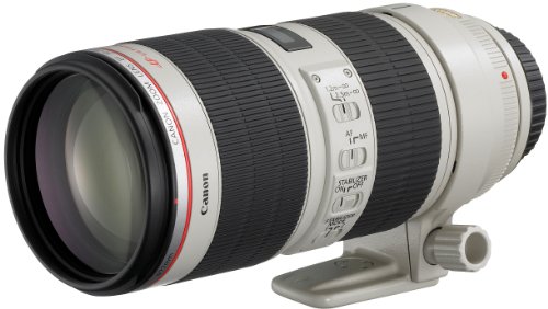 Canon 望遠ズームレンズ EF70-200mm F2.8L IS II USM フルサイズ対応(中古品)の通販は