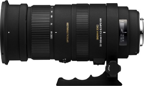 「非常に良い」SIGMA 超望遠ズームレンズ APO 50-500mm F4.5-6.3 DG OS HSM キヤノン用 フ(中古品)