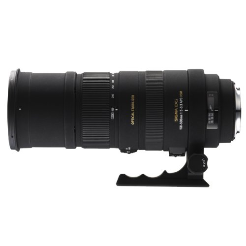 SIGMA 超望遠ズームレンズ APO 150-500mm F5-6.3 DG OS HSM