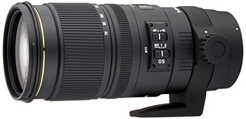 SIGMA 望遠ズームレンズ APO 70-200mm F2.8 EX DG OS HSM ニコン用 フルサ (中古品)