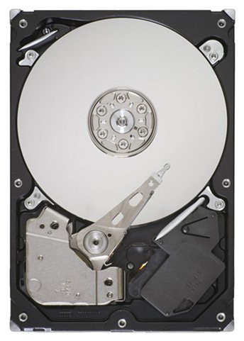 Seagate ST32000445SS 3.5 2048 Go serial_scsi 7200 trs/min(中古品)