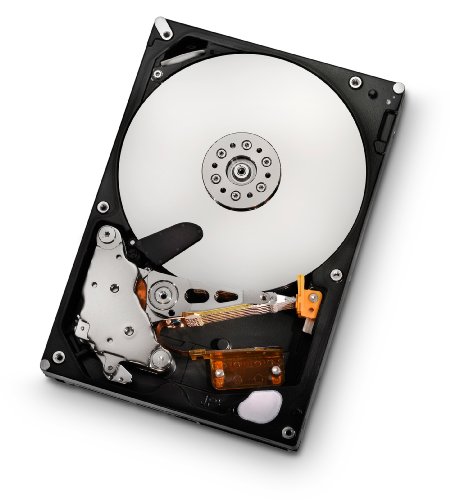 HGST Ultrastar A7K2000 3.5-Inch 2TB 7200RPM SATA II 32 MB Cache Enterp(中古品)