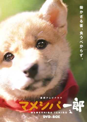 連続テレビドラマ マメシバ一郎 DVD-BOX(中古品)の通販は 6,317円