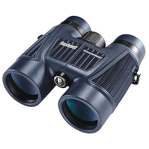 Bushnell H2O 8x 42 mm Jumelles(中古品)