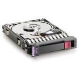 HP 300?GB 2.5?