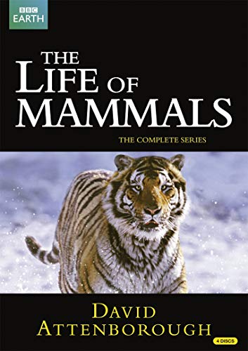 BBC The Life of Mammals -哺乳類の世界- DVD-BOX (10エピソード 498分) BB(中古品)