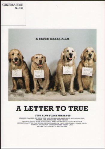 映画パンフレット『トゥルーへの手紙』/ブルース・ウェバー監督、ゴールデ (中古品)の通販は 4,858円