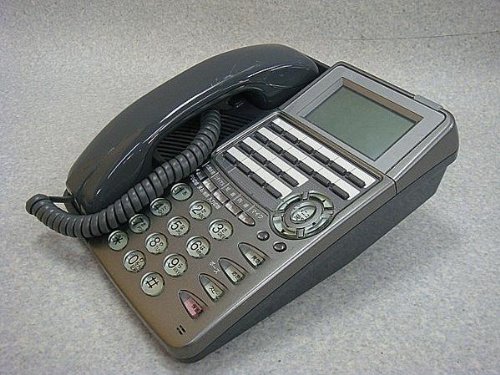 M-24i KTEL(MG) 大興 Taiko SOLVONET 漢字対応標準ＴＥＬ [オフィス用品]  (中古品)