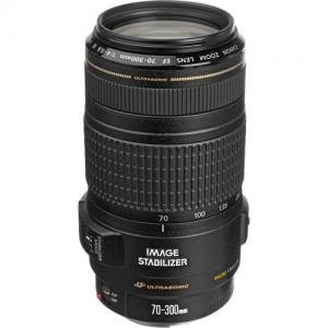 Canon キャノン カメラレンズ EF 70-300mm f/4-5.6 IS USM Lens 並行輸入 (中古品)