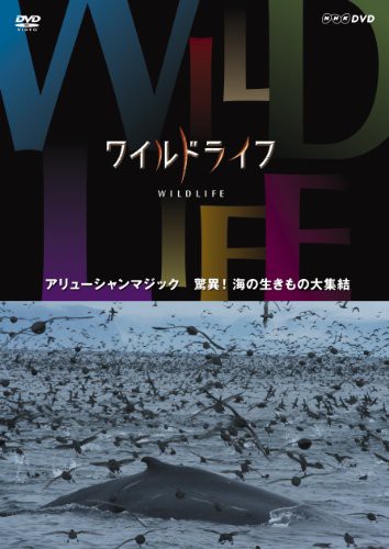 ワイルドライフ アリューシャンマジック 驚異! 海の生きもの大集結 [DVD](中古品)の通販は