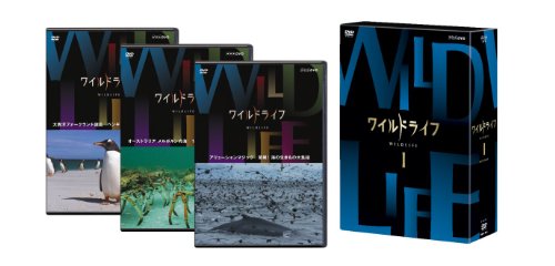 「未使用品」ワイルドライフ DVD-BOXI(中古品)