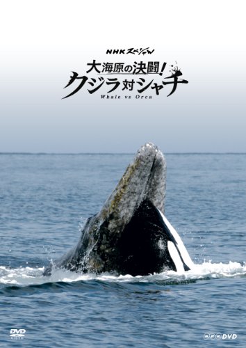 「ほぼ新品」NHKスペシャル 大海原の決闘! クジラ対シャチ [Blu-ray](中古品)