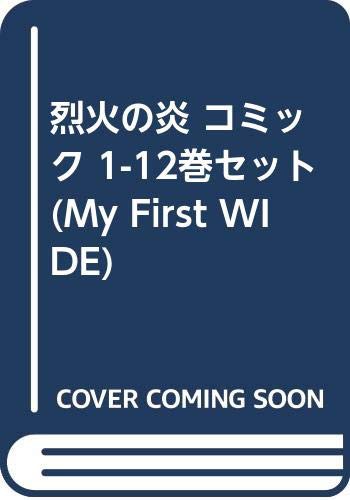 戦国大名佐々木六角氏の基礎研究(中古品)