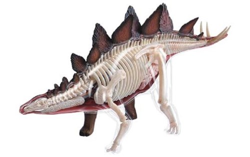 青島文化教材社 スカイネット 立体パズル 4D VISION 動物解剖 No.25 ステゴ(中古品)の通販は 5,392円