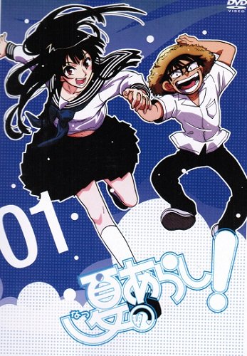 「非常に良い」夏のあらし DVDセット 全5巻　第1話〜第13話セット　[レンタル落ち](中古品)