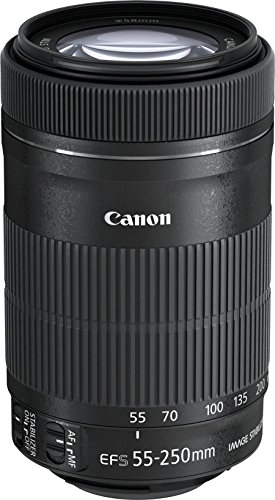 「ほぼ新品」Canon 望遠ズームレンズ EF-S55-250mm F4-5.6 IS STM APS-C対応 EF-S55-250(中古品)