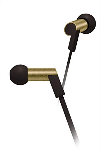「非常に良い」final Heaven V aging カナル型イヤホン バランスドアーマチュア型 FI-AHE5(中古品)