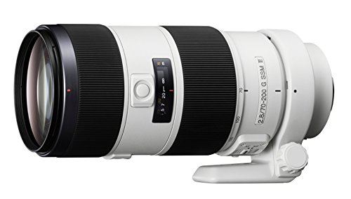 「非常に良い」ソニー SONY Aマウント交換レンズ SAL70200G2 70-200mm F2.8 G(中古品)