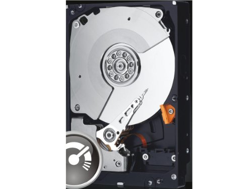 WESTERN DIGITAL WD5003AZEX / Western Digital Black WD5003AZEX 500GB 72(中古品)
