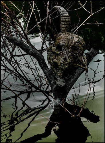 the GazettE LIVE TOUR13-14[MAGNIFICENT MALFORMED BOX]FINAL CODA LIVE A(中古品)の通販は