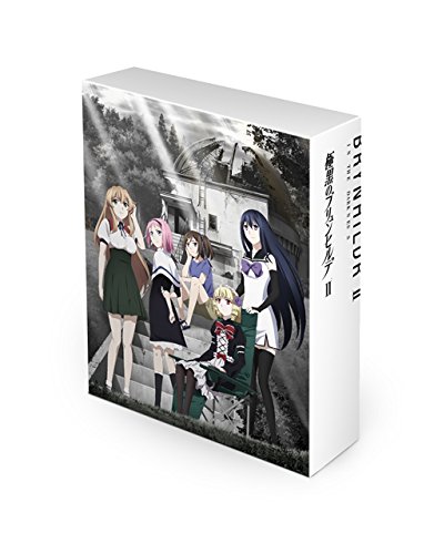 極黒のブリュンヒルデ DVD-BOX II(中古品)の通販は 15,354円