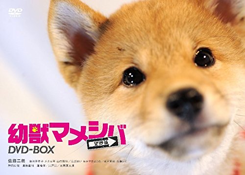 「非常に良い」ドラマ「 幼獣マメシバ 望郷篇 」DVD-BOX(中古品)