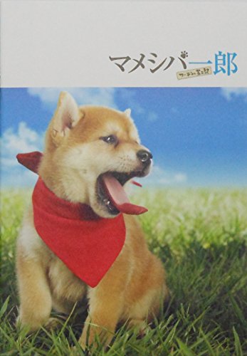 「非常に良い」 映画パンフレット 　マメシバ一郎　フーテンの芝二郎　監督　　キャスト(中古品)