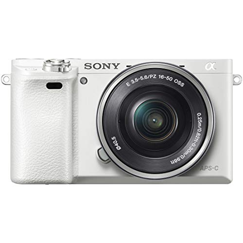 中古】Leica ライカ 42162 ネオプレーン キャリングストラップ 元箱付き