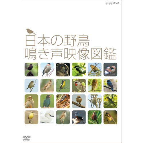 「未当てはめる品」日本の野鳥 鳥の鳴き声挿し絵図鑑 ヴィデオディスク NHK真四角押さえる商いもの (中古品)