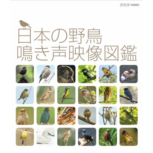 日本の野鳥 鳴き声映像図鑑　ブルーレイ NHKスクエア限定商品 (中古品)