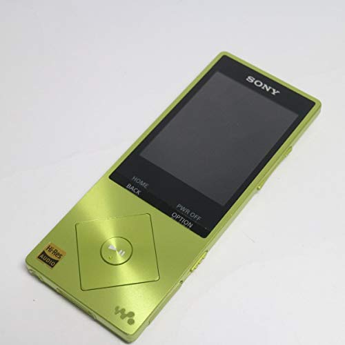 SONY ウォークマン A20シリーズ 16GB ハイレゾ音源対応 2015年モデル