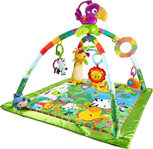 フィッシャープライス(fisher price) レインフォレスト・デラックスジムII (中古品)