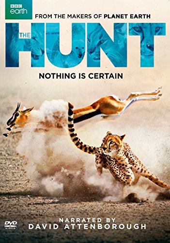 Hunt [DVD](中古品)の通販は 9,722円
