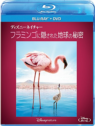 (未使用･未開封品)　美しい夏キリシマ Blu-Ray p1m72rm Amazon.co.jp: 美しい夏キリシマ Blu-Ray : 柄本佑, 小田エリカ