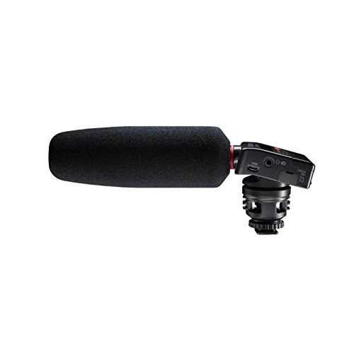 TASCAM ショットガンマイク搭載カメラ用リニアPCMレコーダー DR-10SG(中古品)の通販は 18,150円