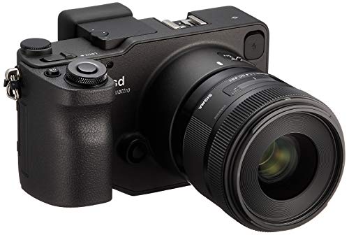 「非常に良い」SIGMA ミラーレス一眼 sd Quattro & Art 30mm F1.4 DC レンズキット(中古品)