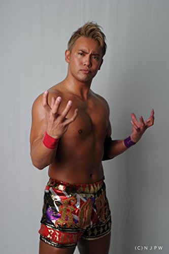 「ほぼ新品」新日本プロレス総集編2016（上半期） [DVD](中古品)