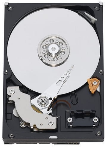 Western Digital Caviar Blue 320 GB Bulk/OEM Hard Drive 3.5 Inch 16 MB (中古品)