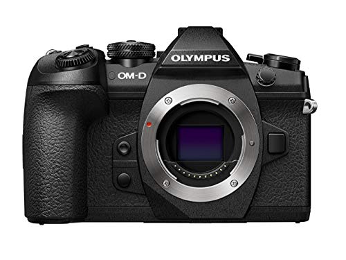 「非常に良い」OLYMPUS ミラーレス一眼カメラ OM-D E-M1 MarkII ボディー(中古品)
