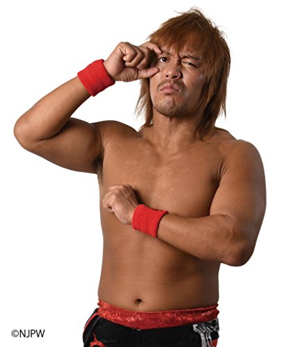 「ほぼ新品」新日本プロレス総集編2016（下半期） [DVD](中古品)