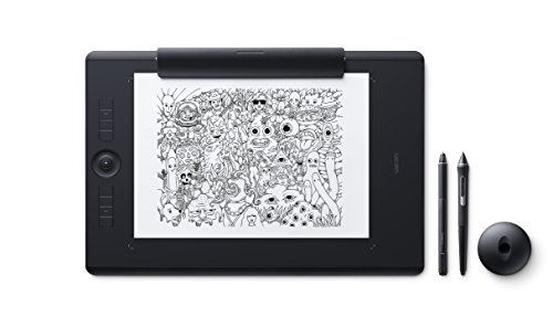 「非常に良い」ワコム Wacom Intuos Pro Paper Edition Lサイズ A4対応 ペンタブレット ペ(中古品)
