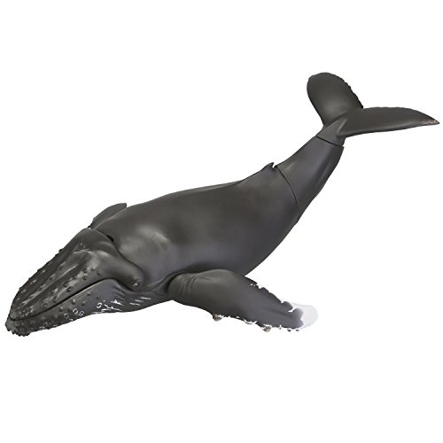 「非常に良い」ソフビトイボックス013 クジラ ザトウクジラ ノンスケール ソフトビニール (中古品)