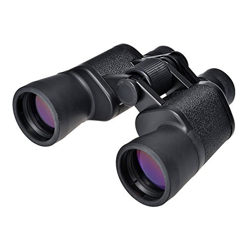 Kenko 双眼鏡 NEWミラージュ 8×42 ポロプリズム式 8倍 口径 42mm ブラッ (中古品)