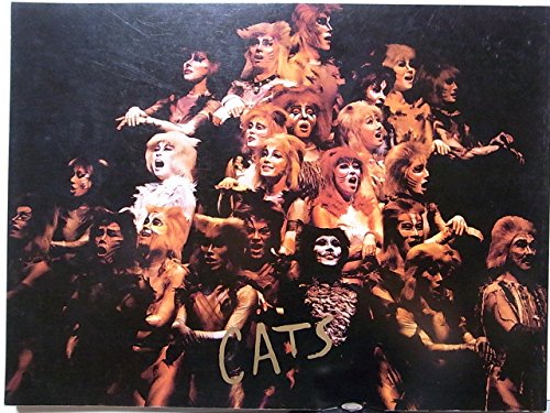 「非常に良い」舞台パンフレット　劇団四季　キャッツ CATS　1986年ロングラン公演　市村 (中古品)