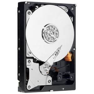 WESTERN DIGITAL WD AVシリーズ 3.5インチ内蔵HDD 2TB SATA6.0Gb/s Intelli(中古品)