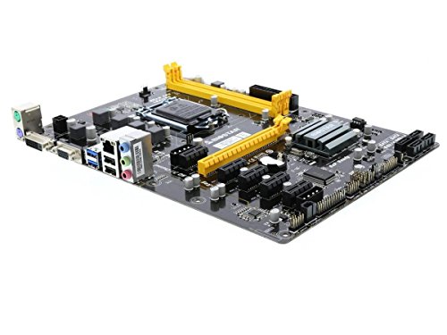 Biostar h81?a lga1150インテルh81?6?GPu MiningマザーボードCryptocurrenc(中古品)の通販は