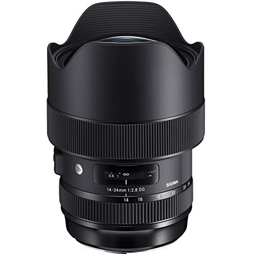 SIGMA 14-24mm F2.8 DG HSM | Art A018 Nikon Fマウント フルサイズ対応(中古品)