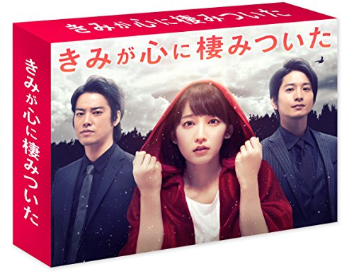 「ほぼ新品」きみが心に棲みついた Blu-ray BOX(中古品)