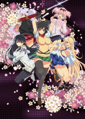「非常に良い」閃乱カグラ Blu-ray BOX(中古品)